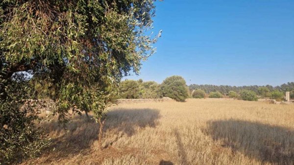 terreno in vendita a Monopoli