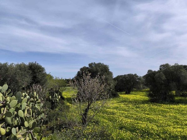 terreno in vendita a Monopoli in zona Santo Stefano