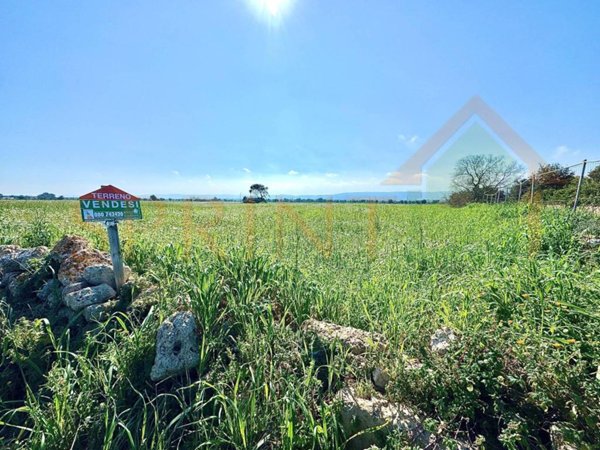 terreno agricolo in vendita a Monopoli
