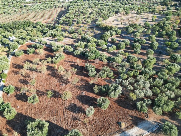 terreno in vendita a Monopoli