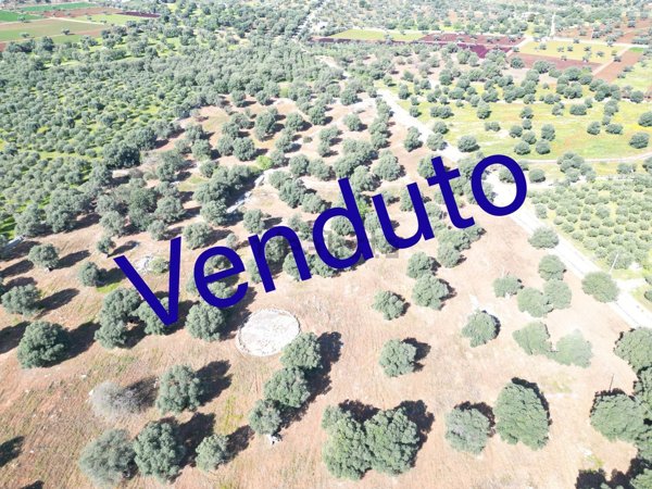 terreno in vendita a Monopoli in zona Cristo delle Zolle