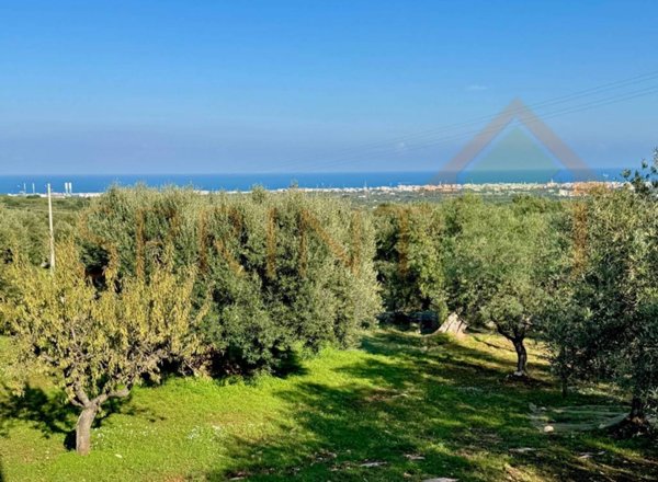 terreno in vendita a Monopoli in zona Cozzana