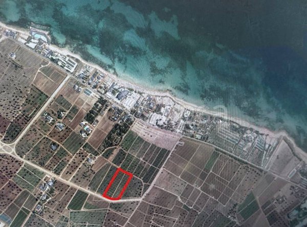 terreno in vendita a Monopoli