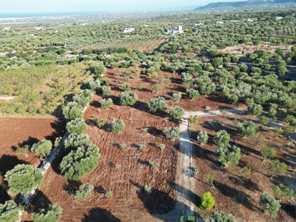terreno in vendita a Monopoli