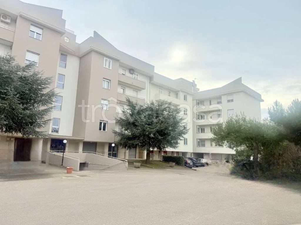 negozio in vendita a Noci