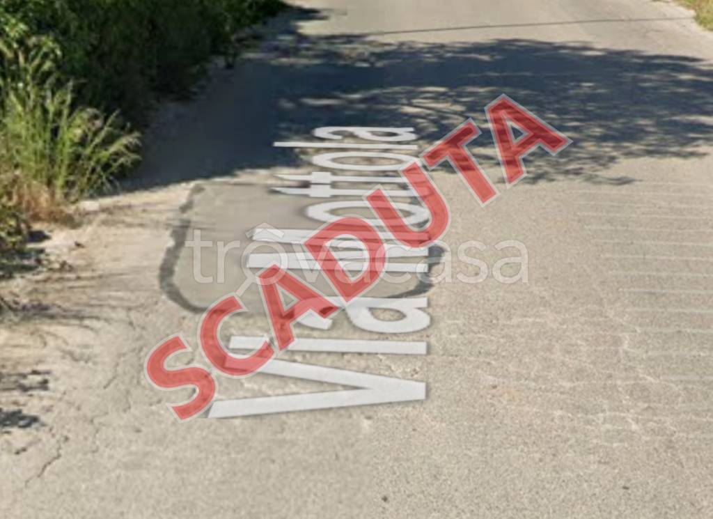 azienda agricola in vendita a Noci