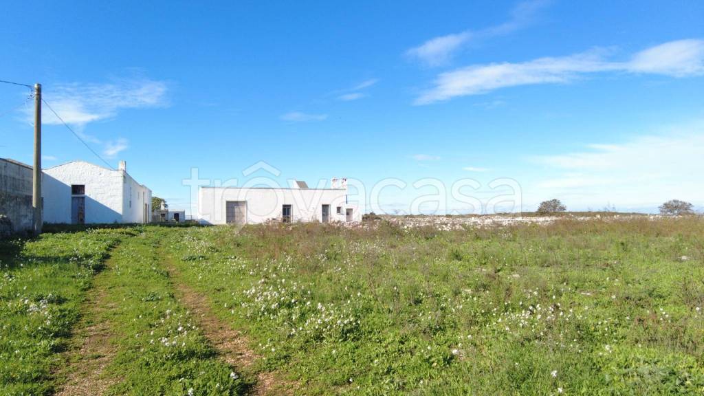 azienda agricola in vendita a Noci