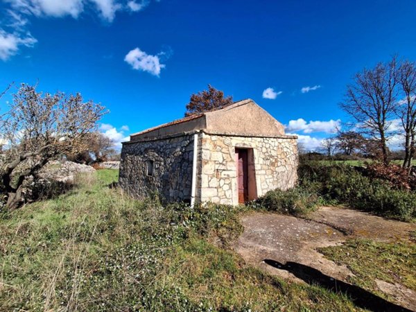 terreno agricolo in vendita a Noci