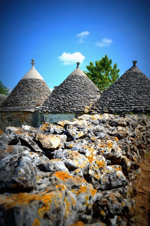 casa indipendente in vendita a Noci