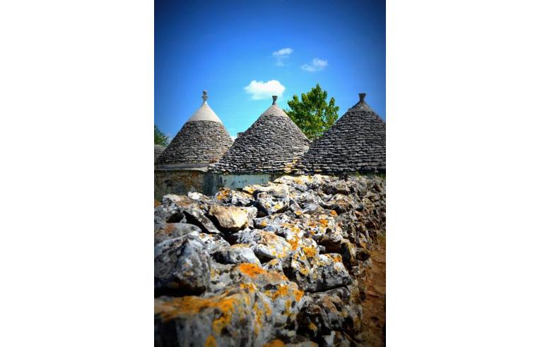 casa indipendente in vendita a Noci