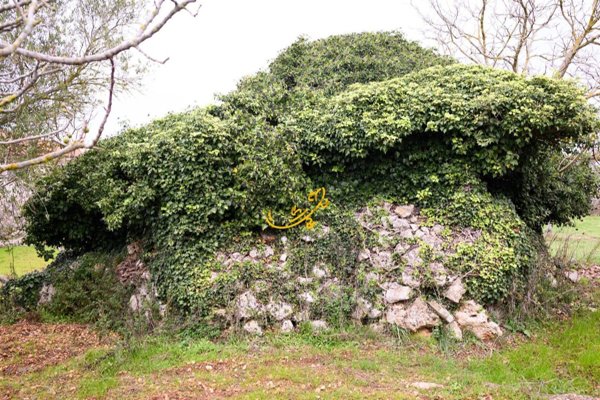 appartamento in vendita a Noci