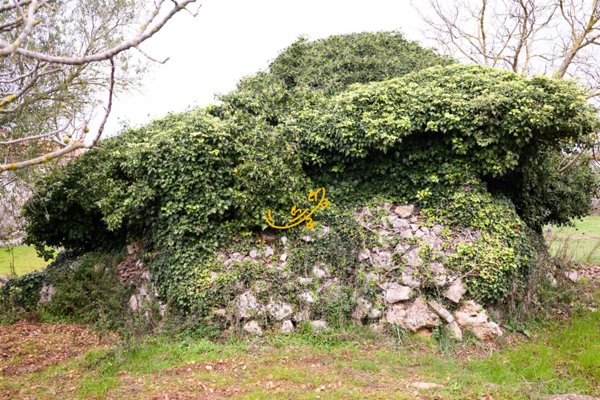 rudere in vendita a Noci