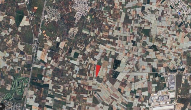 terreno agricolo in vendita a Noicattaro