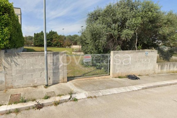 terreno agricolo in vendita a Noicattaro