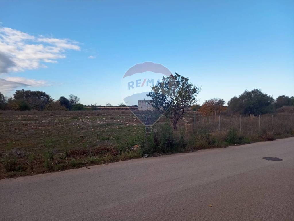 terreno agricolo in vendita a Noicattaro in zona Parchitello
