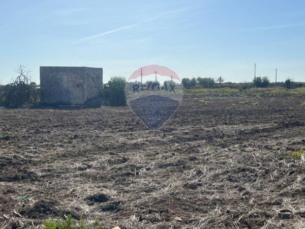terreno agricolo in vendita a Noicattaro