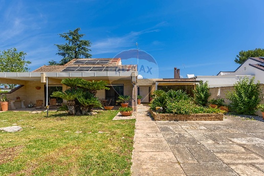 immagine annuncio 0 di 1