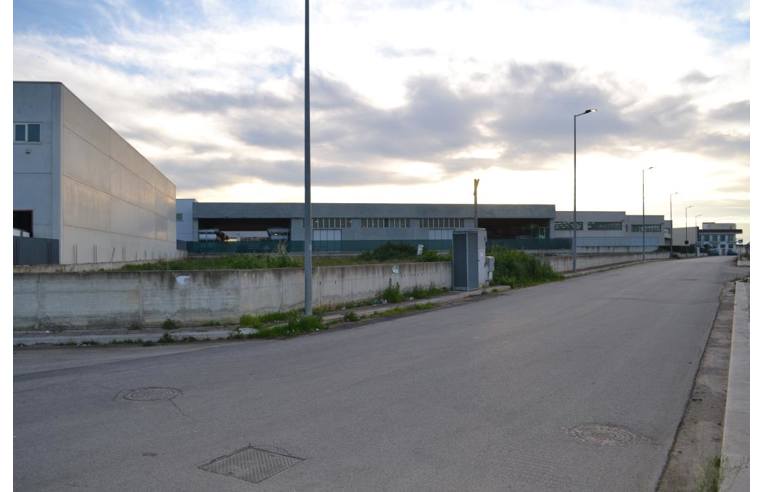 terreno agricolo in vendita a Noicattaro