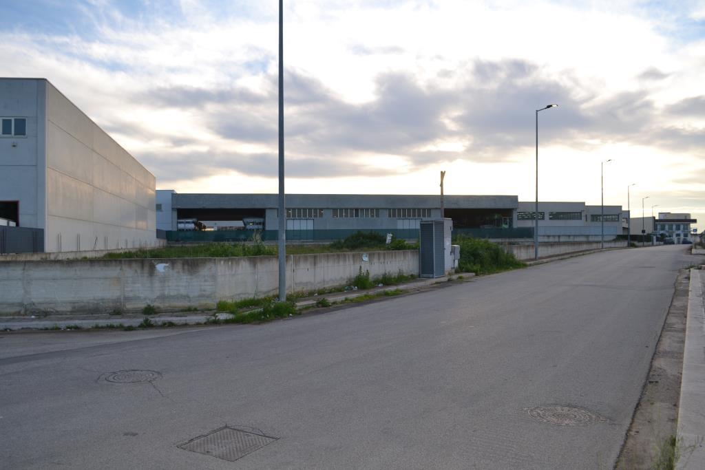 terreno agricolo in vendita a Noicattaro