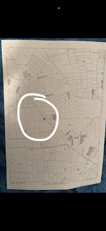 terreno agricolo in vendita a Noicattaro