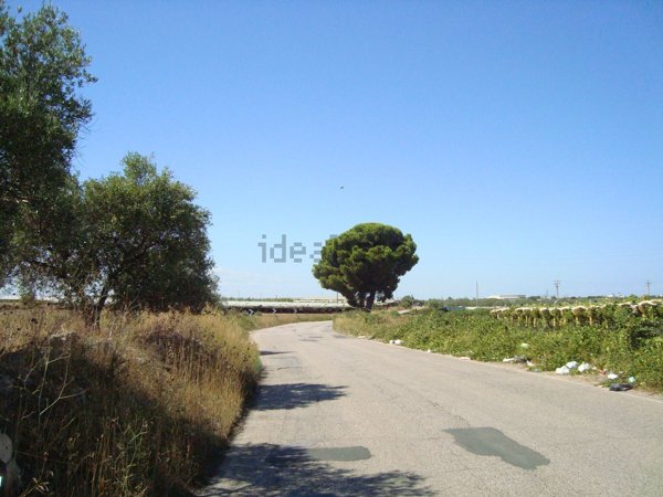 terreno agricolo in vendita a Noicattaro