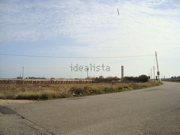 terreno agricolo in vendita a Noicattaro