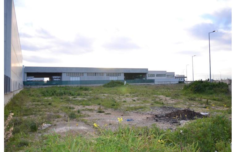 terreno agricolo in vendita a Noicattaro