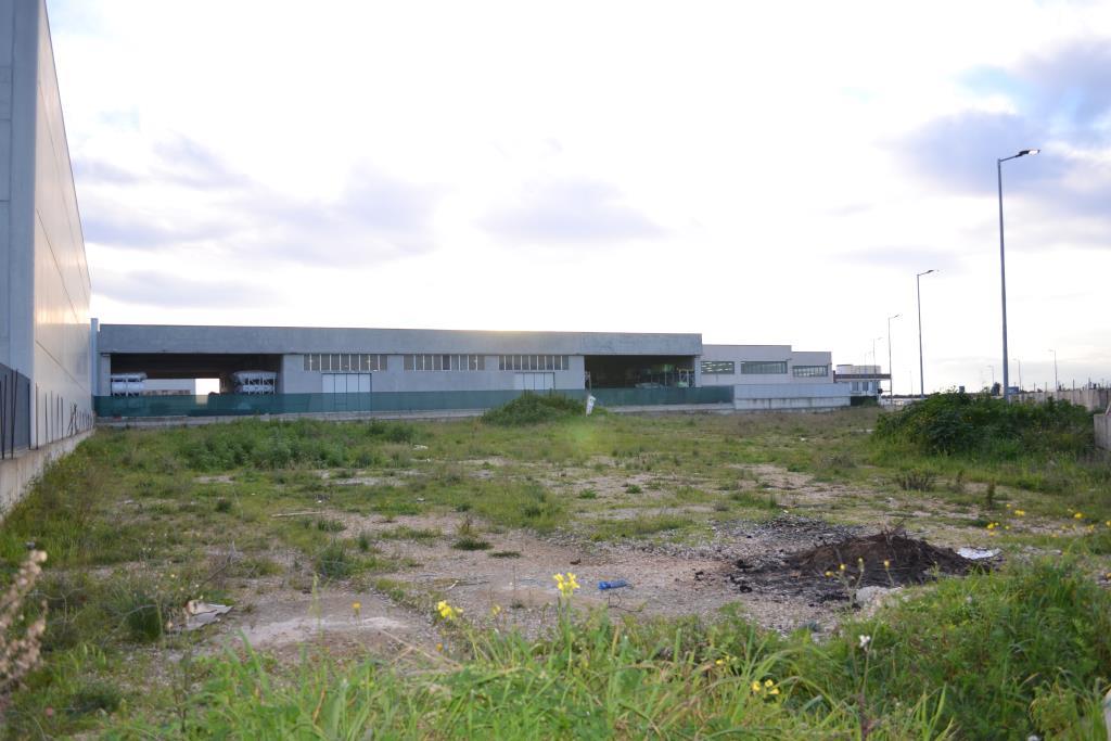 terreno agricolo in vendita a Noicattaro