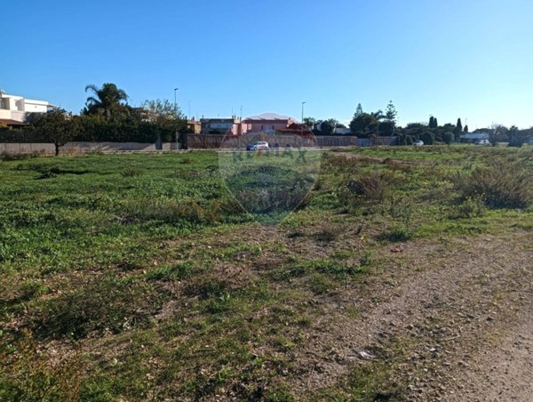 terreno agricolo in vendita a Noicattaro in zona Scizzo