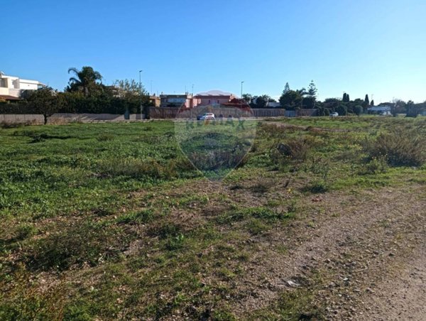 casa indipendente in vendita a Noicattaro in zona Scizzo