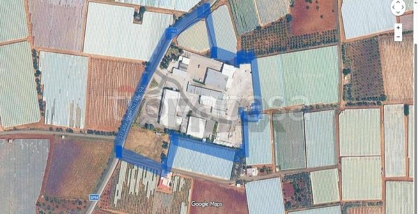 locale commerciale in vendita a Noicattaro