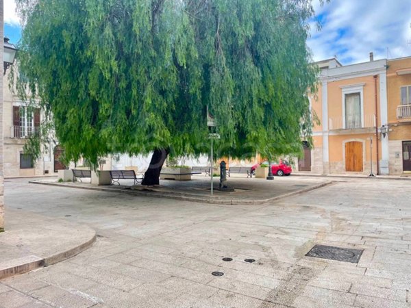 casa indipendente in vendita a Noicattaro