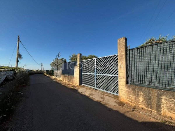 terreno agricolo in vendita a Noicattaro in zona Scizzo