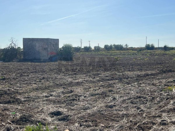 terreno agricolo in vendita a Noicattaro in zona Scizzo