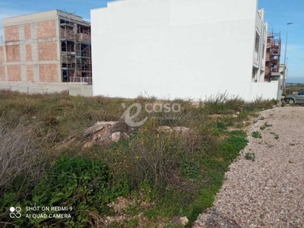 terreno agricolo in vendita a Noicattaro