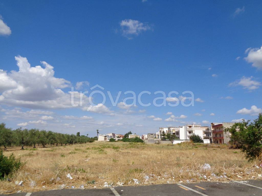 terreno agricolo in vendita a Palo del Colle