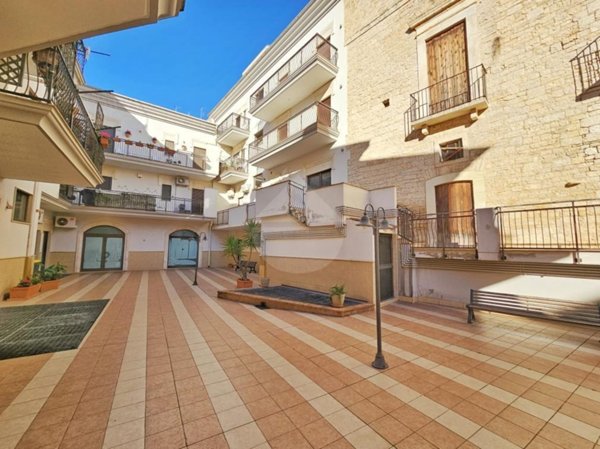 appartamento in vendita a Palo del Colle