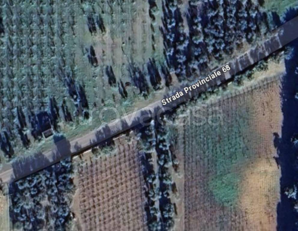 terreno agricolo in vendita a Palo del Colle