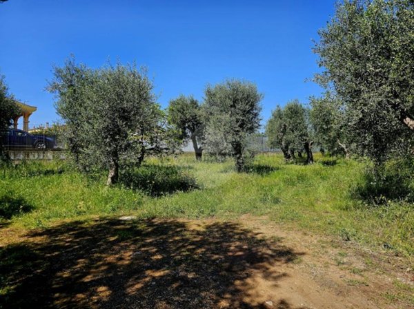 terreno agricolo in vendita a Palo del Colle in zona Auricarro