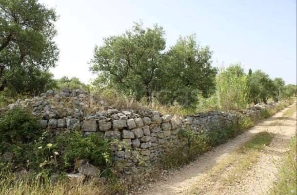 appartamento in vendita a Palo del Colle
