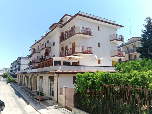 appartamento in vendita a Palo del Colle