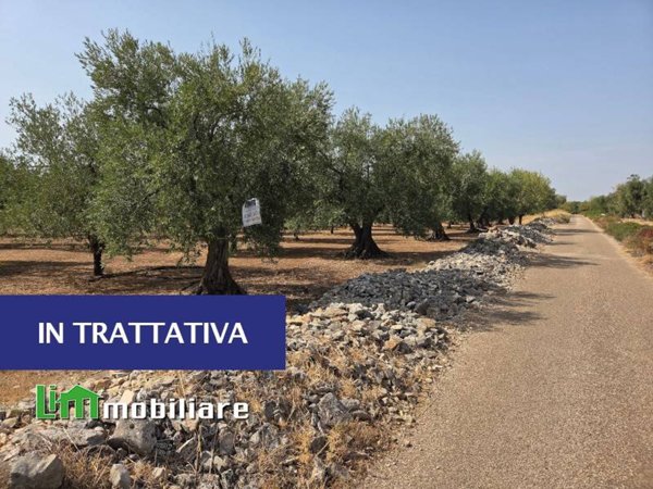 terreno agricolo in vendita a Palo del Colle