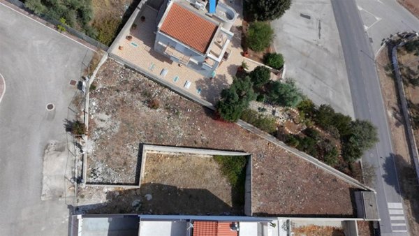terreno agricolo in vendita a Palo del Colle in zona Auricarro