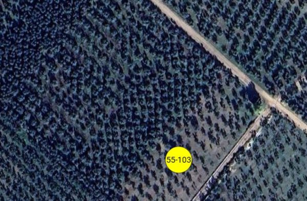 casale in vendita a Palo del Colle