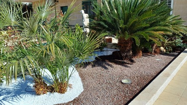 casa indipendente in vendita a Palo del Colle