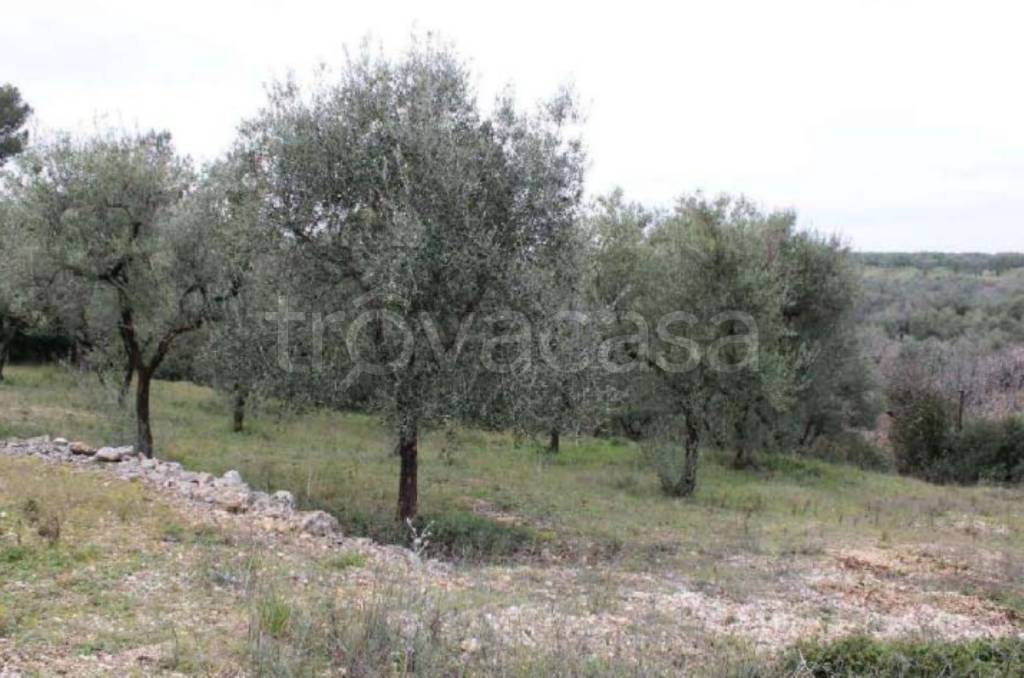 casale in vendita a Palo del Colle in zona Auricarro