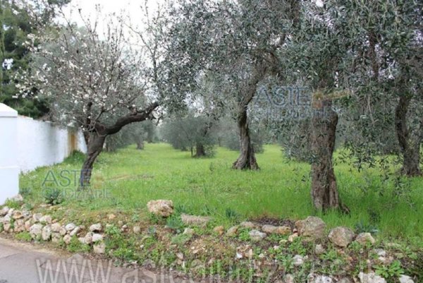 terreno agricolo in vendita a Palo del Colle in zona Auricarro