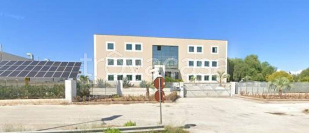 immagine annuncio 0 di 11