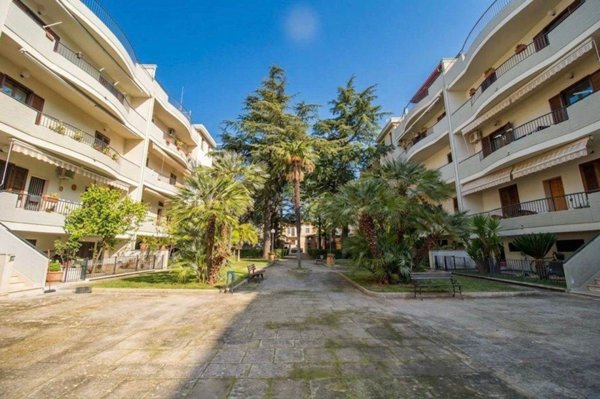 appartamento in vendita a Palo del Colle