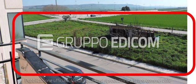 terreno agricolo in vendita a Poggiorsini